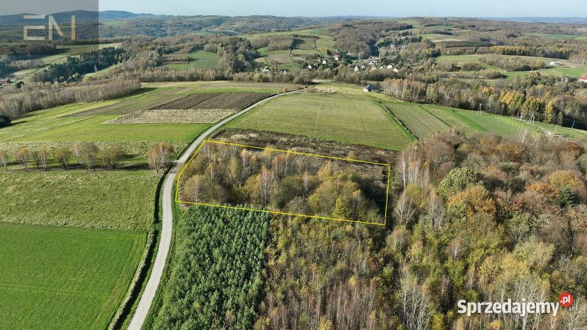 sprzedaży gruntu Niewodna 4500m2