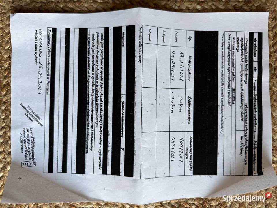 Sprzedam 2 aksolotle z pełnym wyposażeniem Warszawa