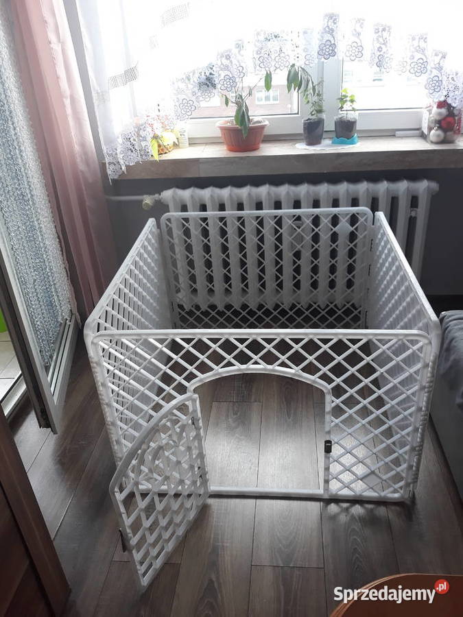 Kojec zagroda psa królika Wodzisław Śląski