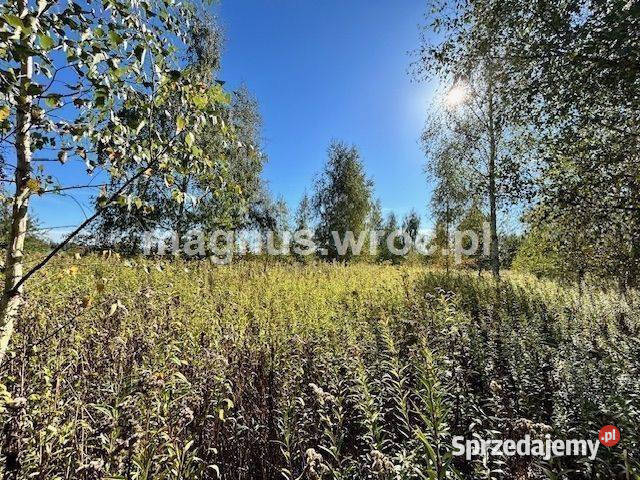 Duża działka na leśnym osiedlu w Miłoszycach utwardzona Miłoszyce