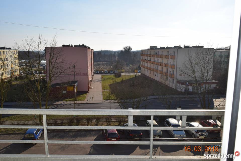 Mieszkanie 3 pokoje bez pośrednika Poznań