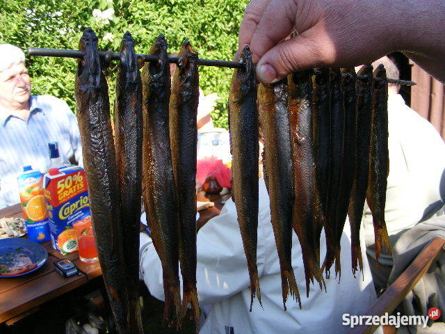 U Zbyszka w Mrzeżynie morzem zachodniopomorskie Mrzeżyno