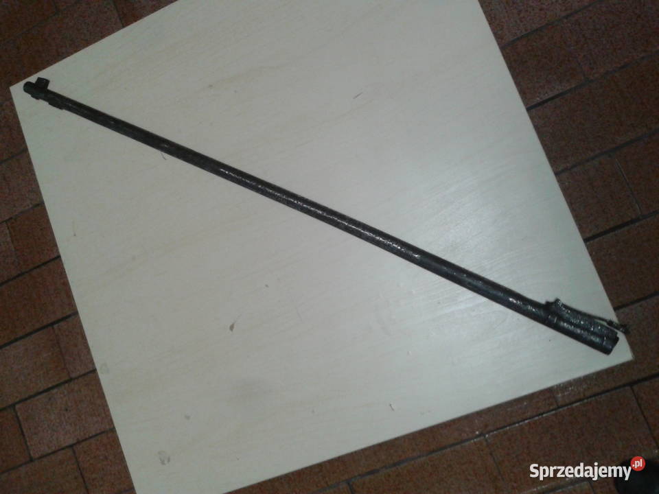 lufa Berthierstaroć wielkopolskie Skiereszewo