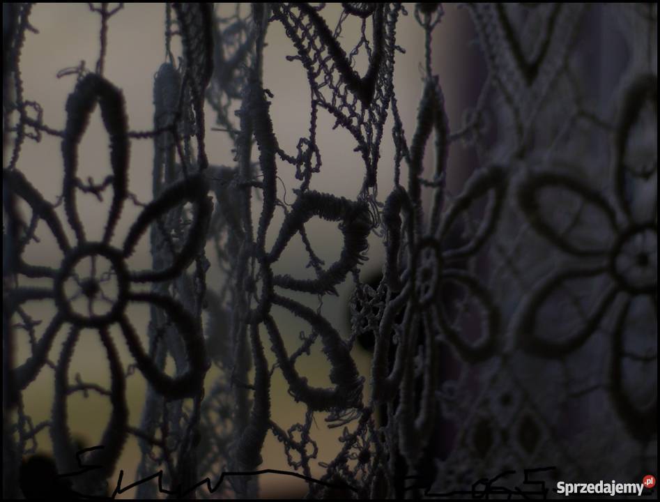 nikon 24mm warty obejrzenia Białystok