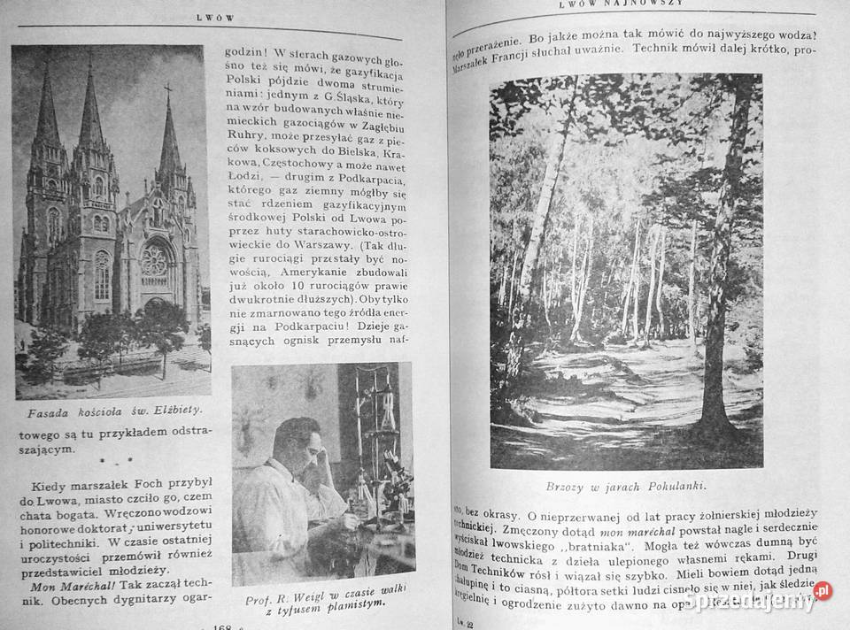 Lwów Stanisław Wasylewski lubelskie Chełm sprzedam