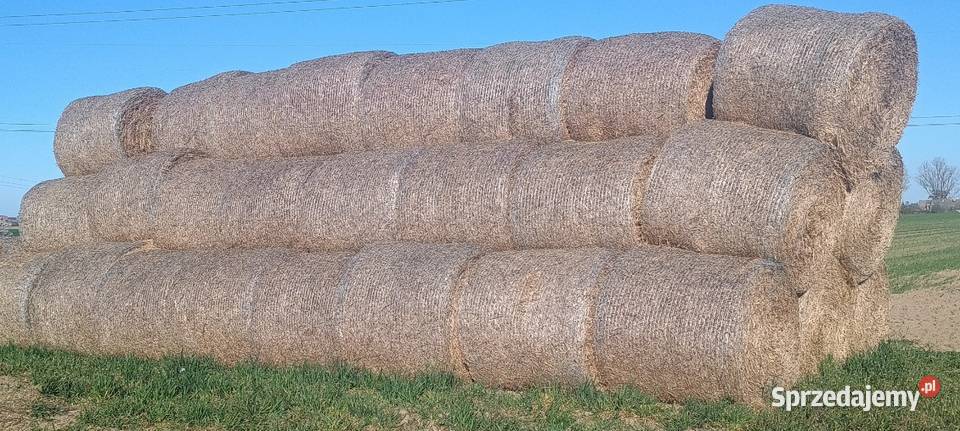 słoma bale Tuczno