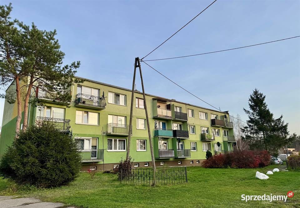 Mieszkanie 536 działka 522m garaż 53.6m2 kujawsko-pomorskie Salno