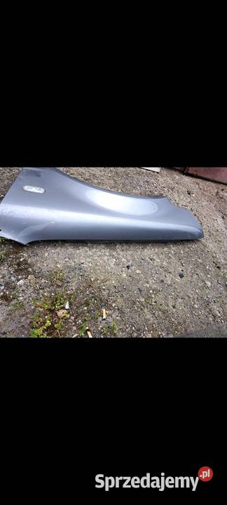 Blotnik vw passat b5fl lewy dolnośląskie Wrocław sprzedam