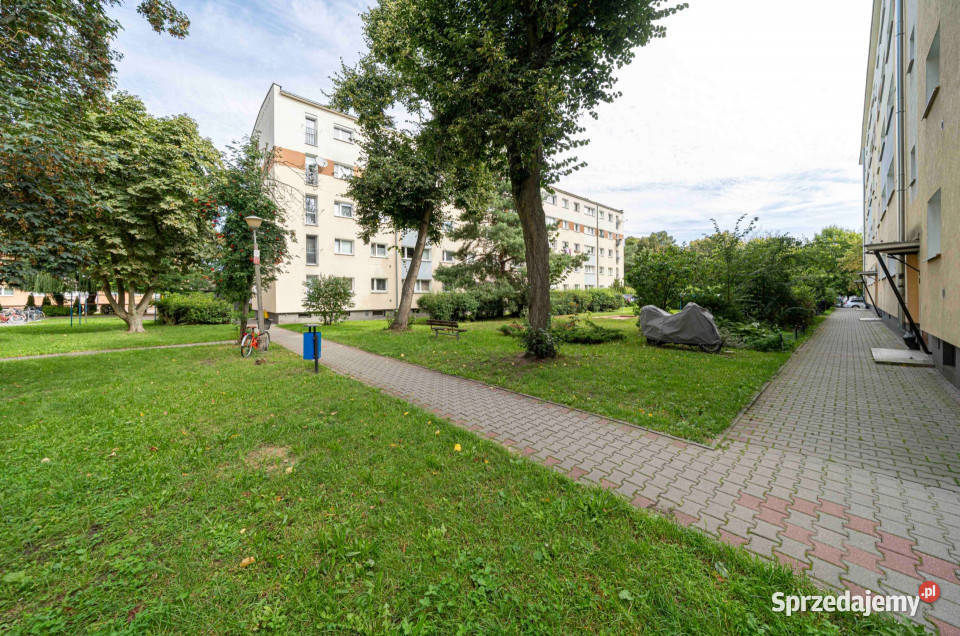 Grunwald 3 pokoje I piętro gotowe do Piętro 1 Poznań