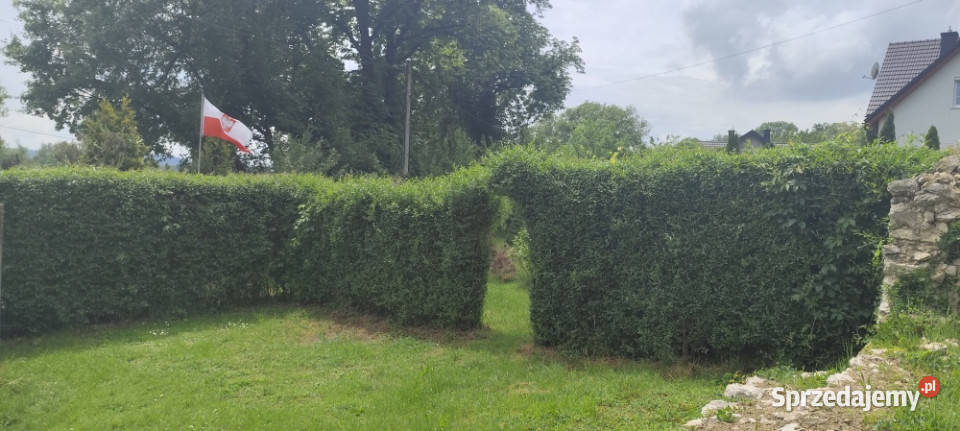 Sprzedam Piękną Działkę z domem Kraków Bielany