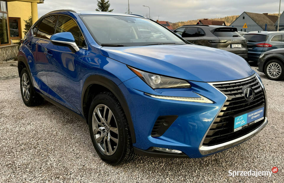 Lexus NX 300hHybryda4x4FullEuropa I 20142021