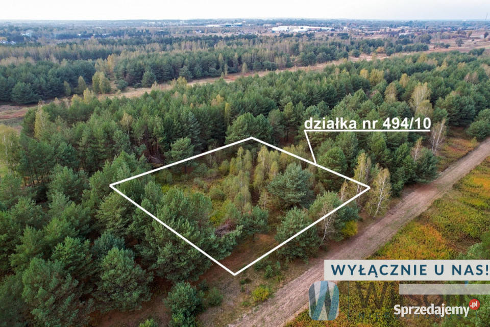 sprzedaży działki 3000m2 Czosnów Cząstków sprzedam