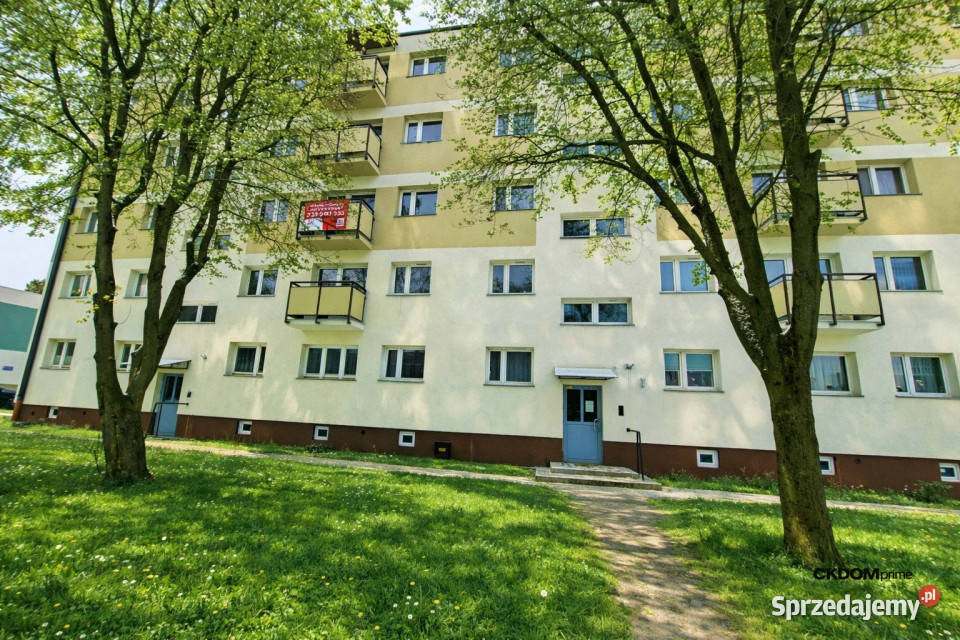 GOTOWA INWESTYCJA 2 POKOJE Oś XVLECIE Liczba pokoi 2 Radom sprzedam