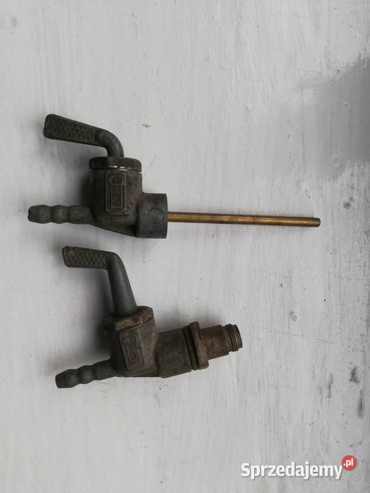 Java jawa kraniki wielkopolskie