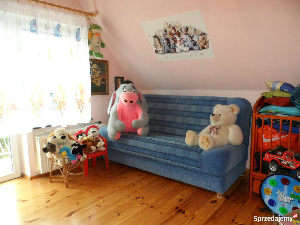 sprzedam przytulny dom w Borowiczkach Borowiczki-Pieńki