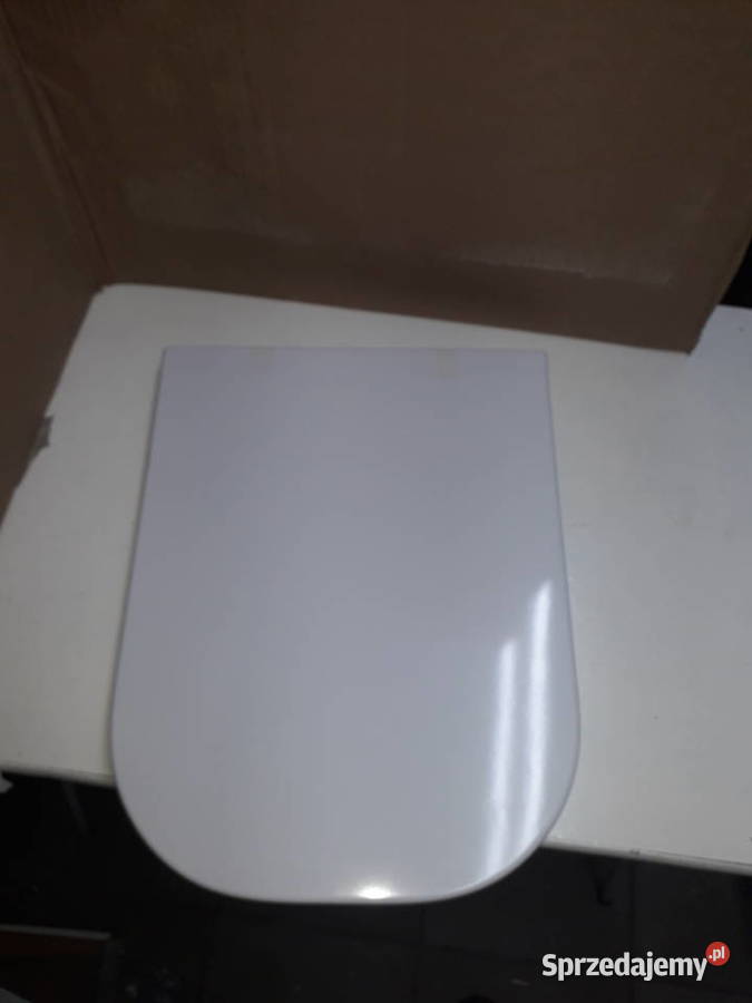 ROCA deska WC z funkcją łatwego wypinania Olkusz