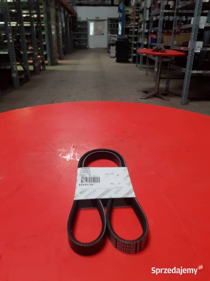 84319746 Pas wielorowkowy 4PK913 CNH Holland Sulechów