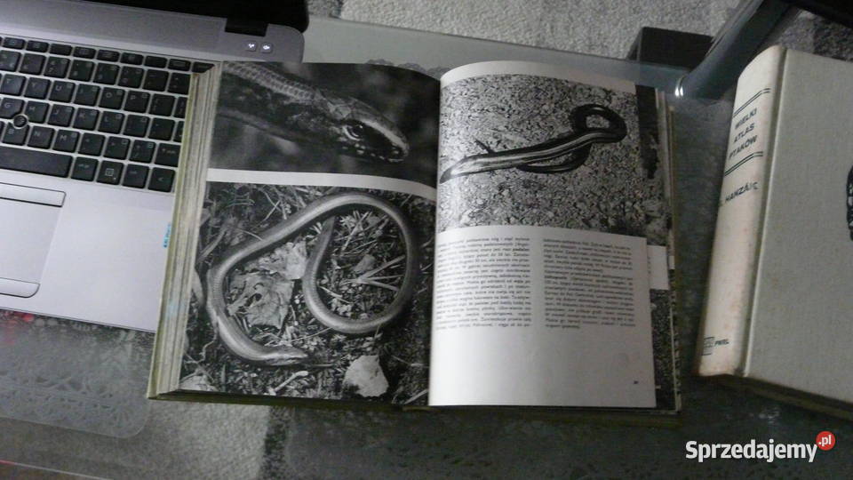 Wielki Atlas Ptaków JHanzak Rok wydania 1976 wielkopolskie