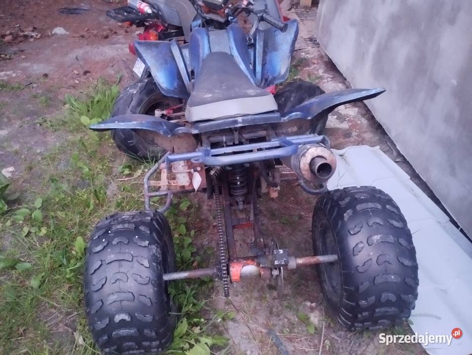 Bashan 250 ciecz Jarosławiec