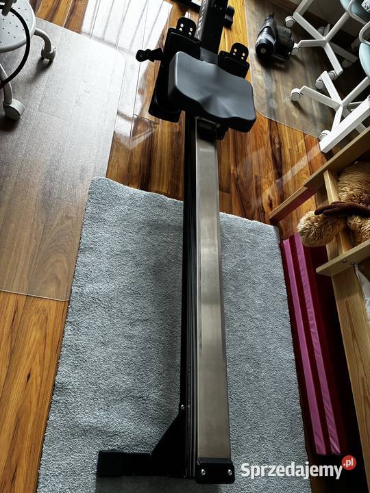 Concept2 profesjonalny wioślarz treningowy Gliwice