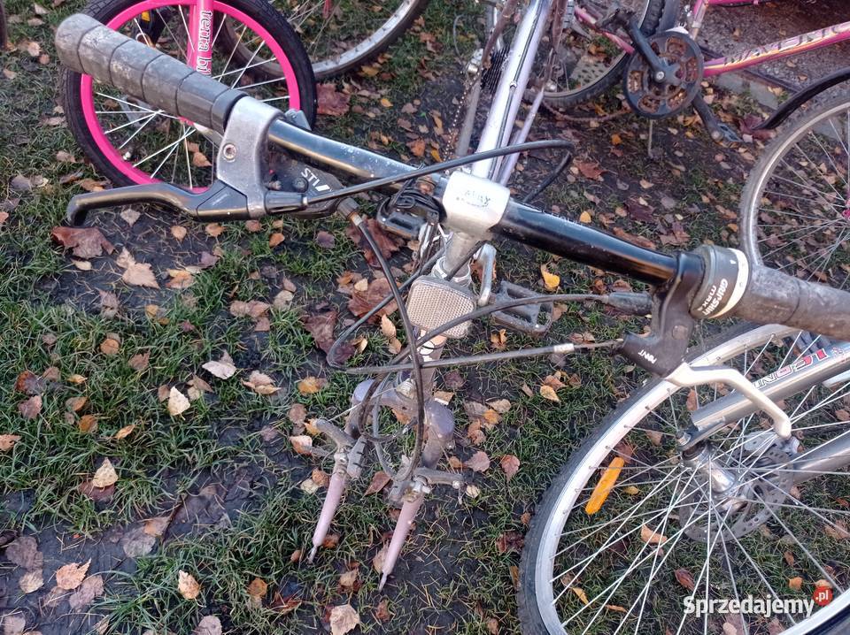 Pakiet Rowerów z Niemiec Góral Damka Męski Rowery