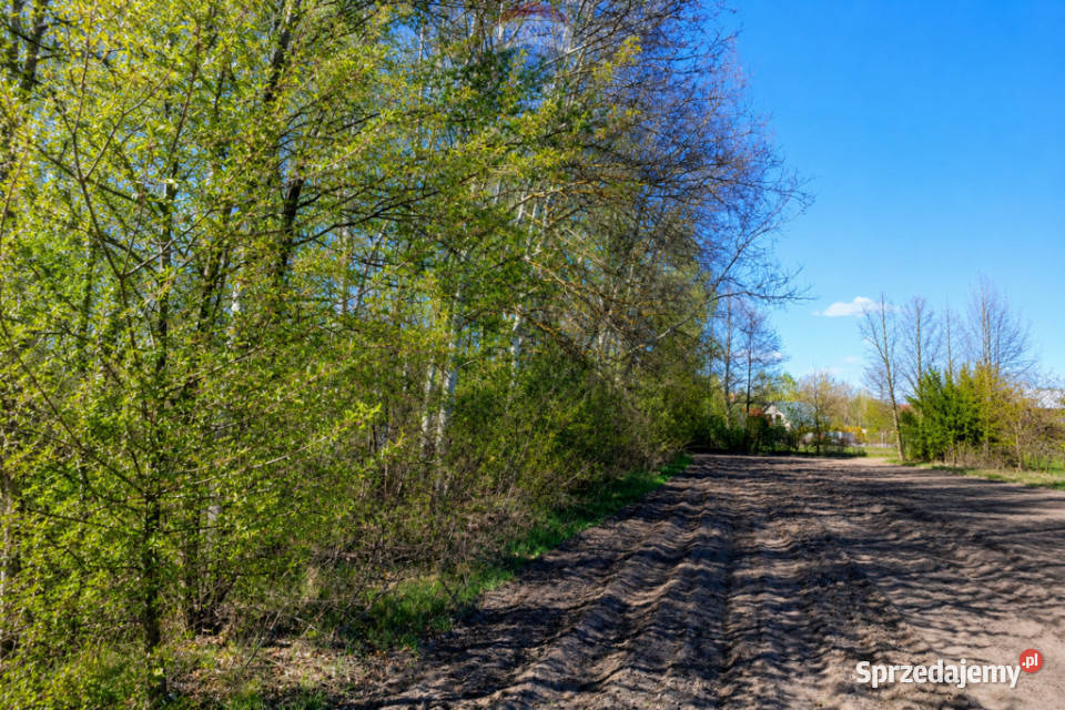 WYJĄTKOWA DZIAŁKA Z WZ 3204 m2 GRABÓW PILICĄ 86m