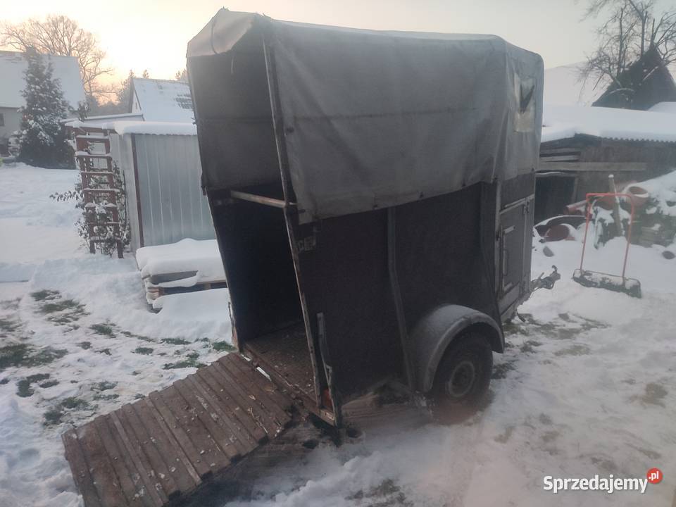 Przyczepa na konie WERTMANN Do przewozu koni Jaksonek