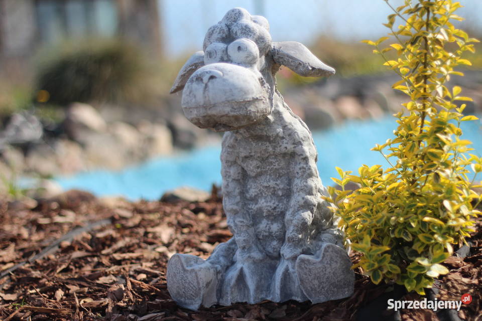 Figury rzeźby ogrodowe betonowe baranek Goliszów