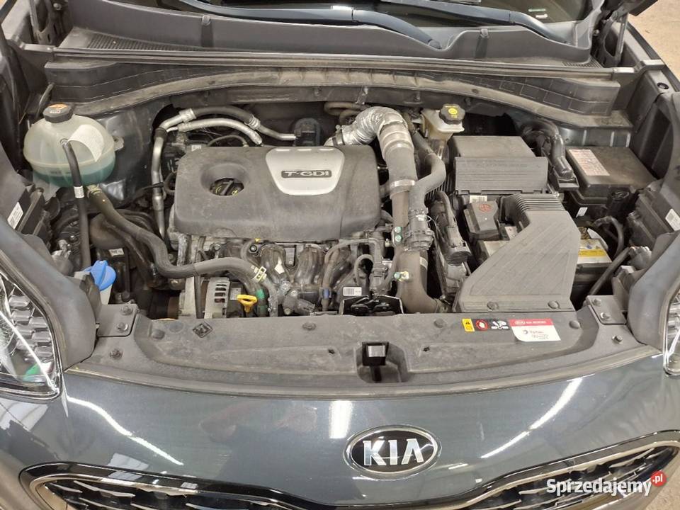 16 TGDI 177 GTLine 4WD Bezwypadkowy FVAT 23