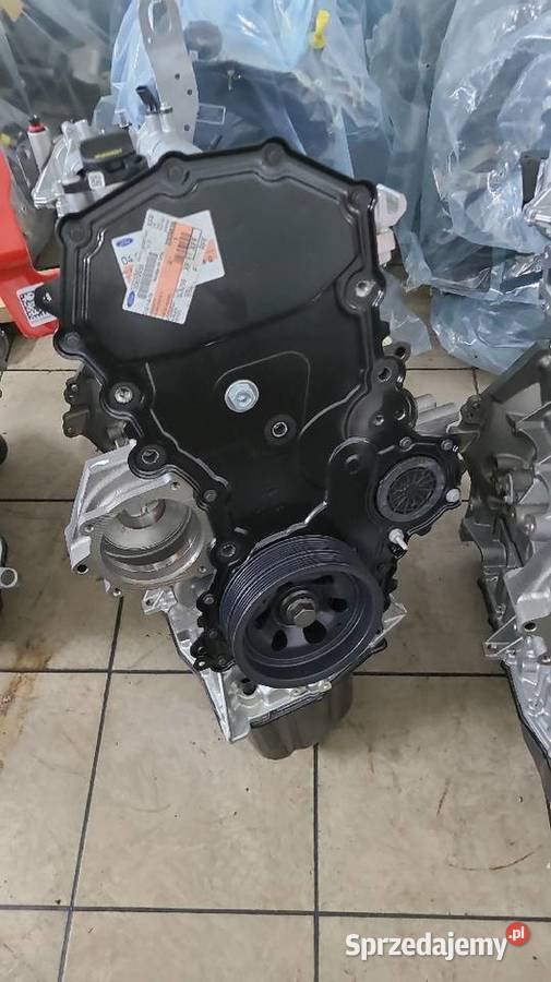 Motor FORD TRANSIT 20 ECOBLUE BLFB BLRA YNR6 mazowieckie