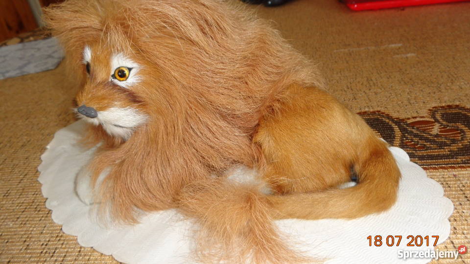 ozdobny lew na dekoracje wielkopolskie Poznań