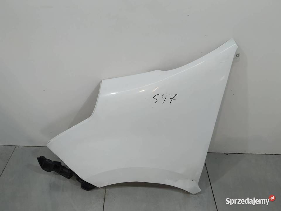 BŁOTNIK LEWY PRZÓD BIAŁY Renault Master III 2010 świętokrzyskie