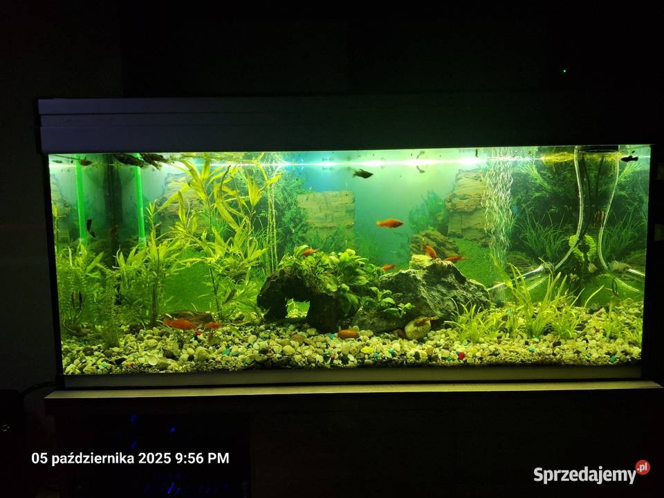 Akrawium 240 l