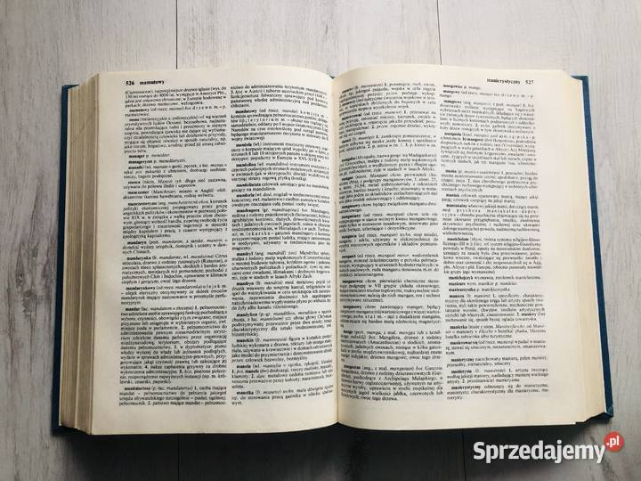 Książka Słownik wyrazów obcych PWN Łódź sprzedam