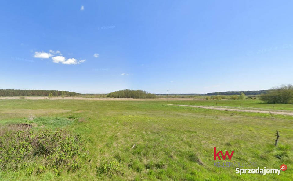 Grunt sprzedam Rzecin 40002m2 rolna wielkopolskie