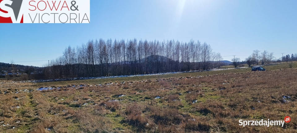 Słoneczna działka budowlana w Szczawnie Zdroju Szczawno-Zdrój