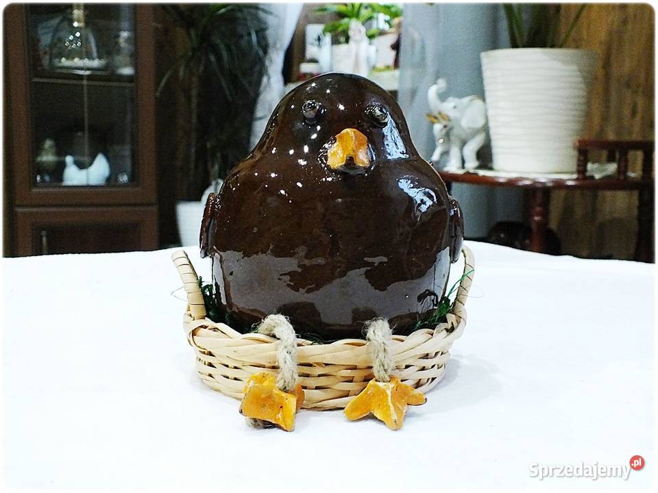 Duże grube ptaszysko Boczunio w gnieździe szuka Żary