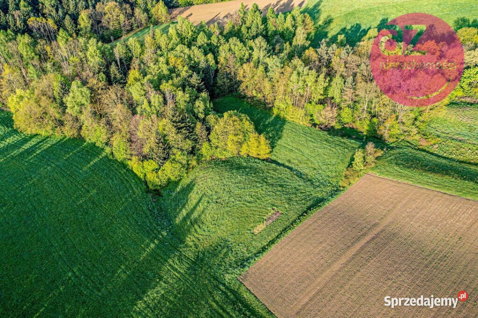 Działka rolna z możliwością