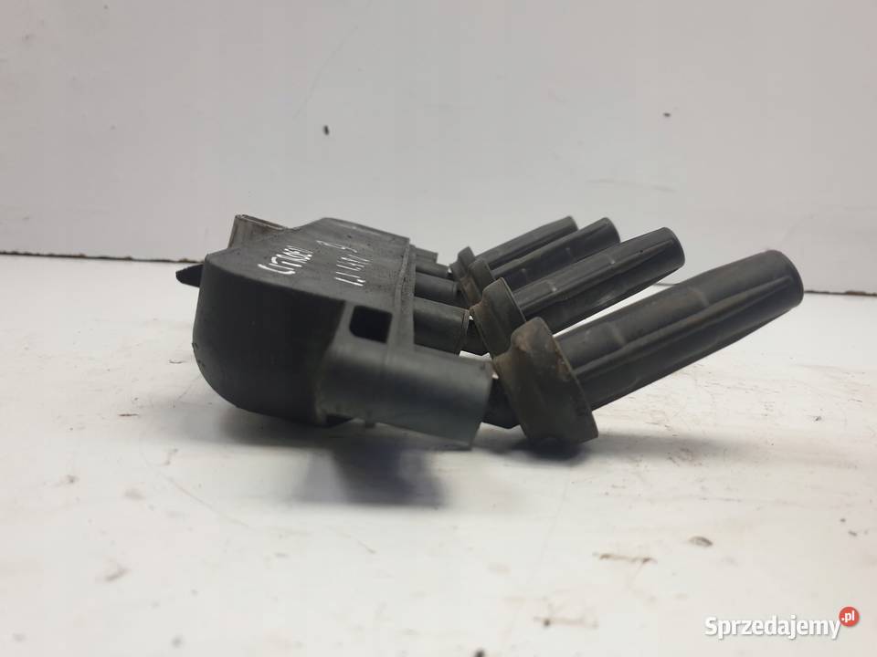 CEWKA ZAPŁONOWA Peugeot 206 14 8V BBC22NDT Rudka