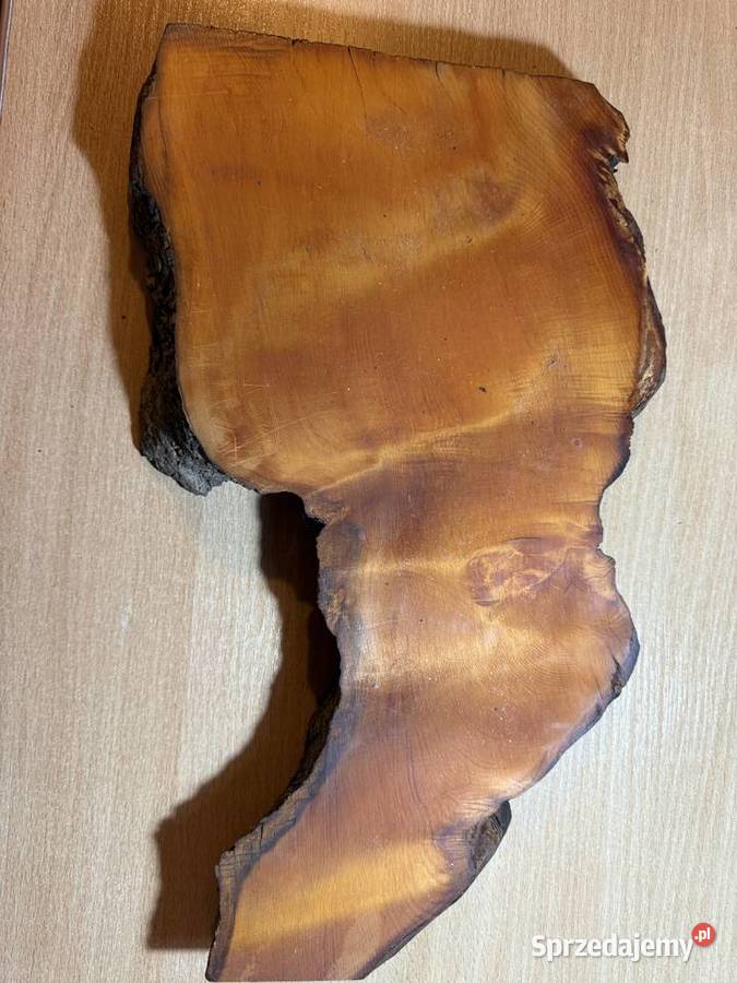 2 plastry drewna Amboyna Wood