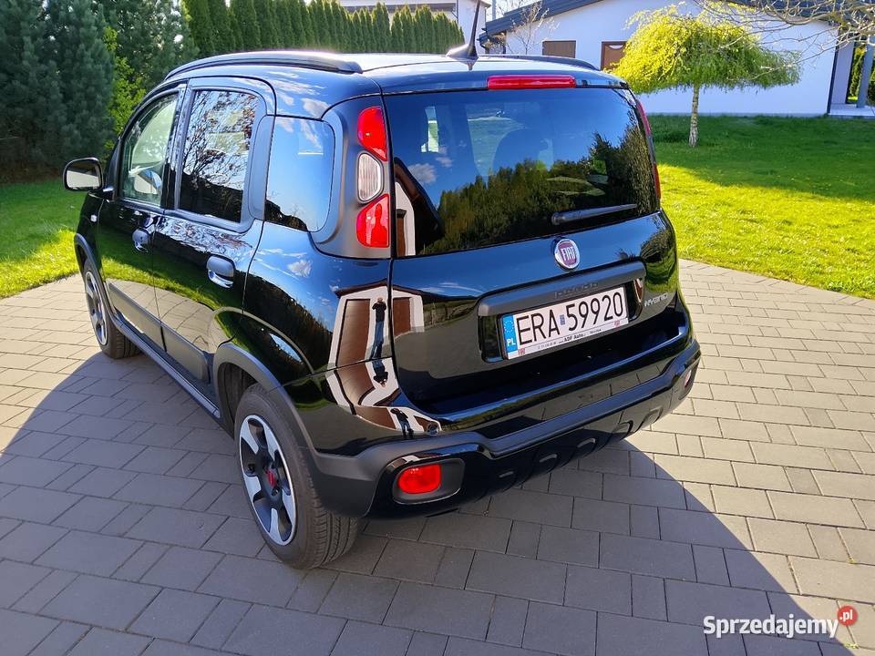 Fiat panda cross immobilizer