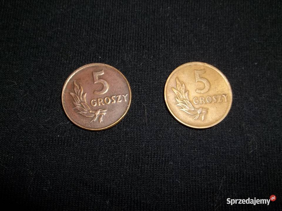 Moneta 5 groszy 1949 1958 1968 1970 1971 Łódź sprzedam