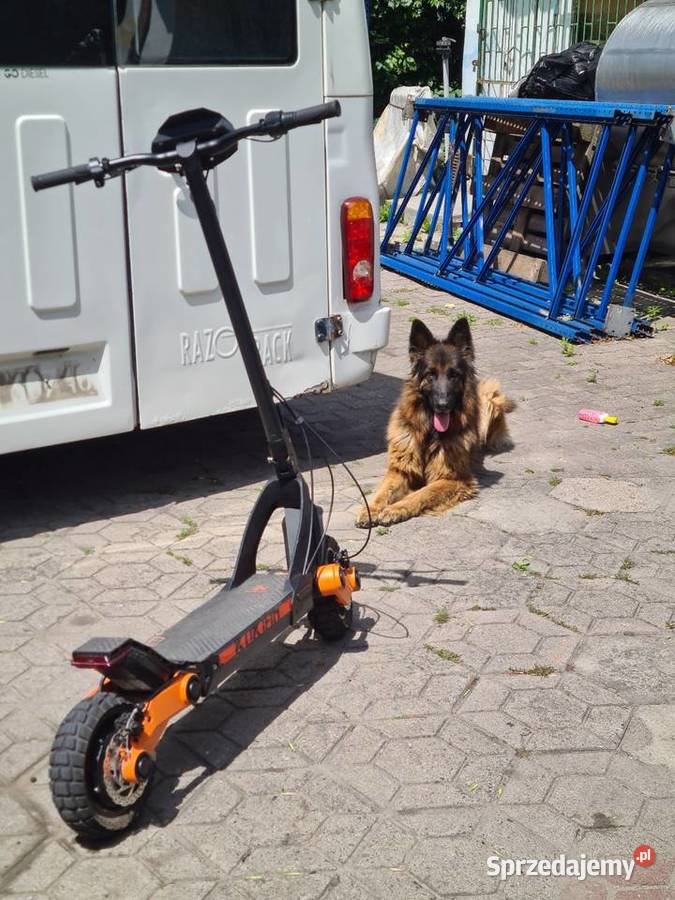 Hulajnoga Elektryczna Kukirin G3 Hulajnogi elektryczne lubelskie