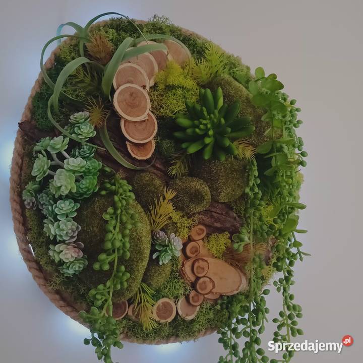 Żywy obraz zielony Wieluń