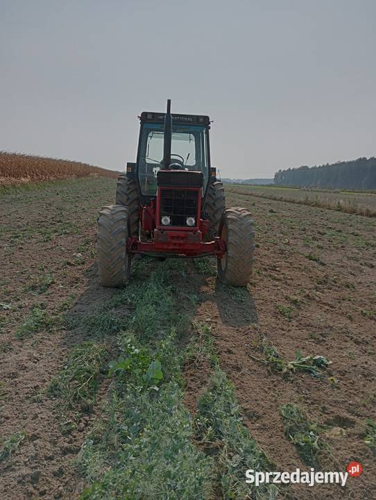 Case international 1255 WOM 540/1000 obr. lubelskie Trzydnik Duży