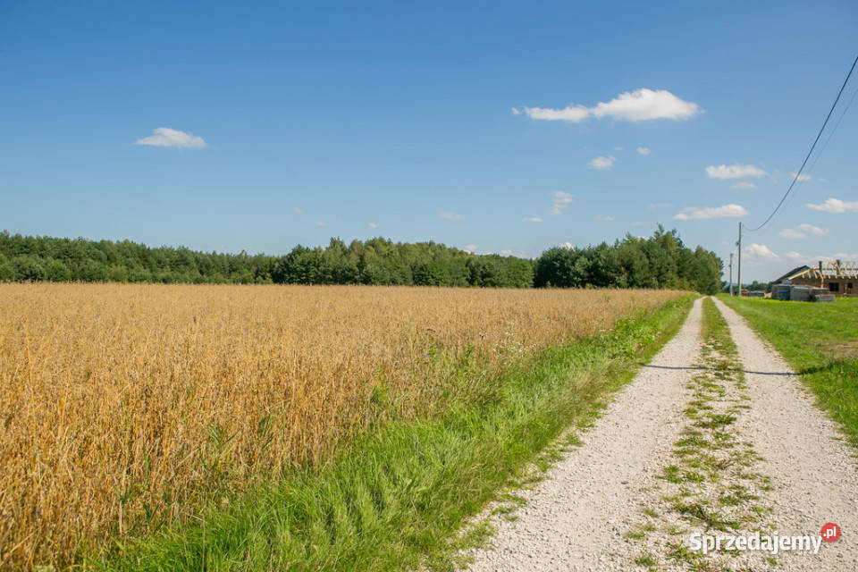 Działka z rozpoczętą budową Lipiny sprzedam
