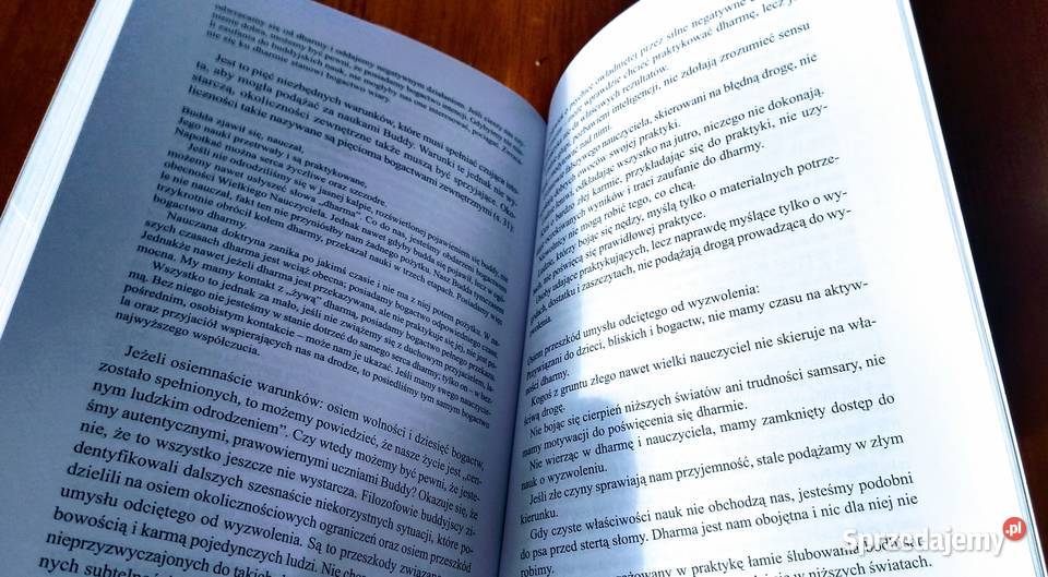 Buddyzm w oczach filozofa Michał Tempczyk Gdańsk