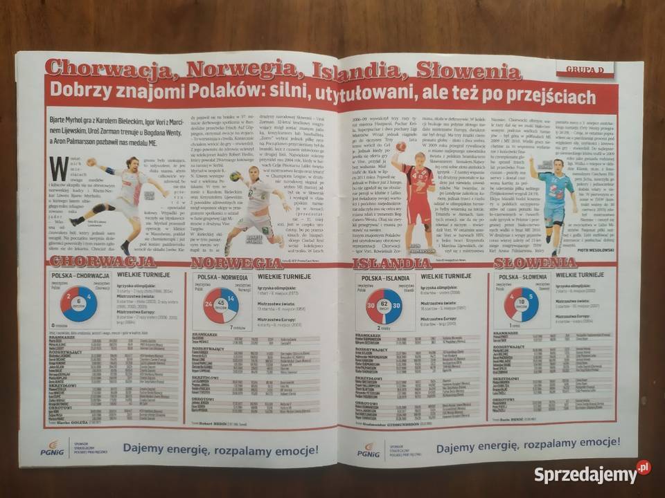 Skarb kibica ME w piłce ręcznej 2012 Łódź
