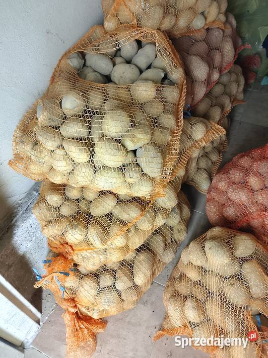 Ziemniaki Otolia Tarnów sprzedam