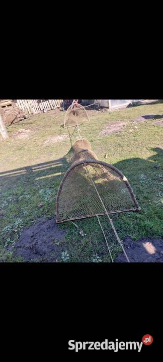 Żaki rybackie 100 Gdańsk